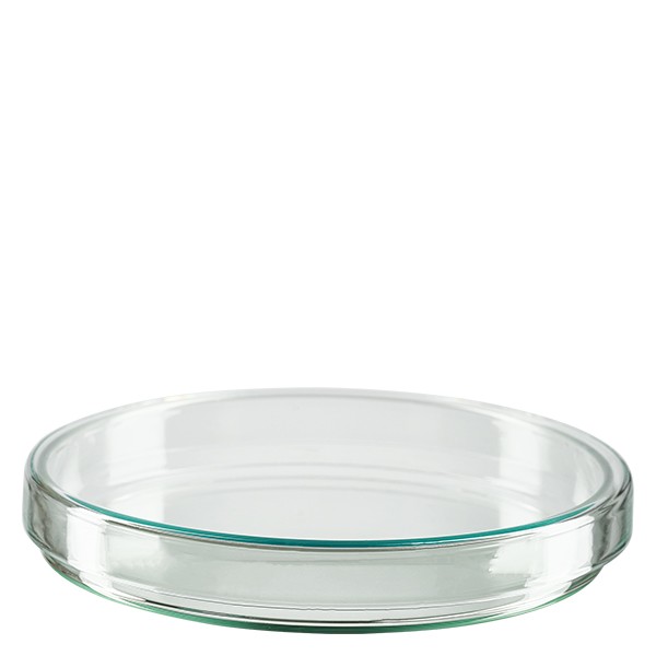 Petrischale 120x20mm Glas