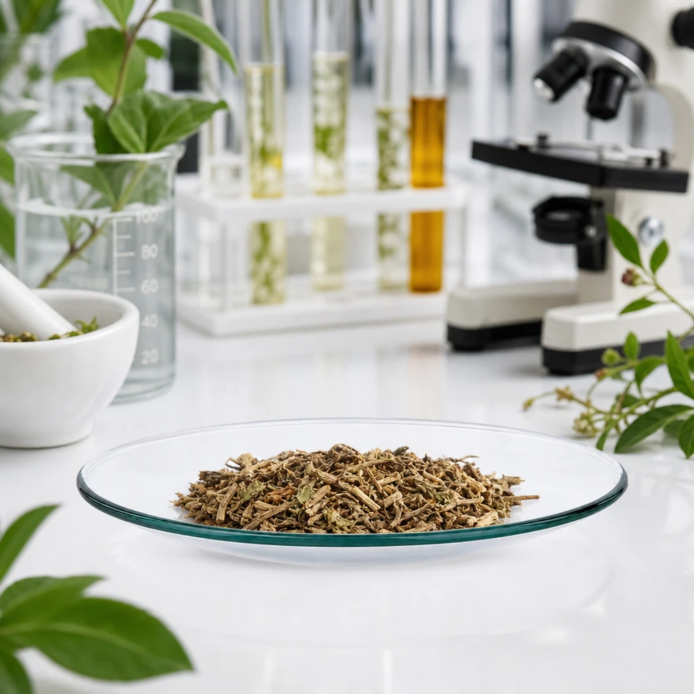 Guarda il piatto di vetro in un ambiente di laboratorio sterile per la ricerca sulle piante farmaceutiche