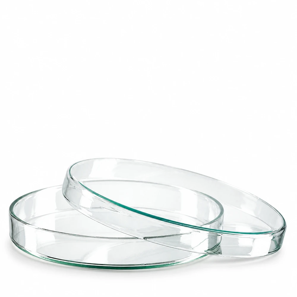 Boîte de Petri en verre 120x20 mm Deux boîtes de Pétri rondes en verre de 120 x 20 mm empilées l'une sur l'autre sur un fond blanc
