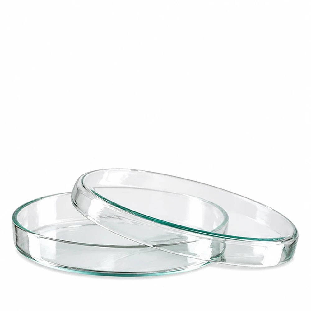 Transparente Glaspetrischale 90mm leicht grünlicher Glaston stapelbar für wissenschaftliche Zwecke