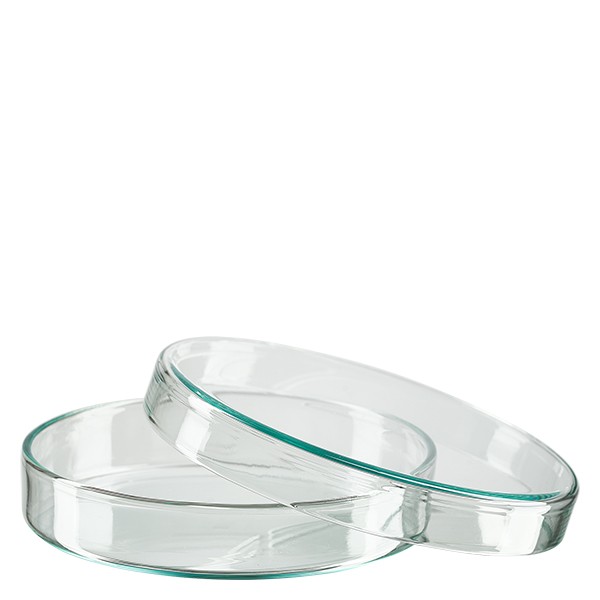 Petrischale 100x20mm Glas