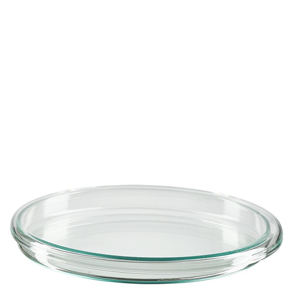 Petrischale 100x10mm Glas