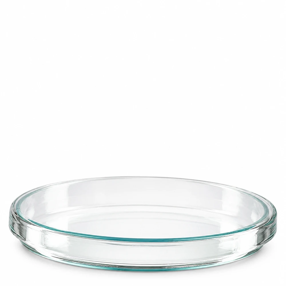 Petrischale 100x15mm Glas Runde Laborpetrischale aus Klarglas 100x15mm Seitenansicht mit türkisem Glasrand