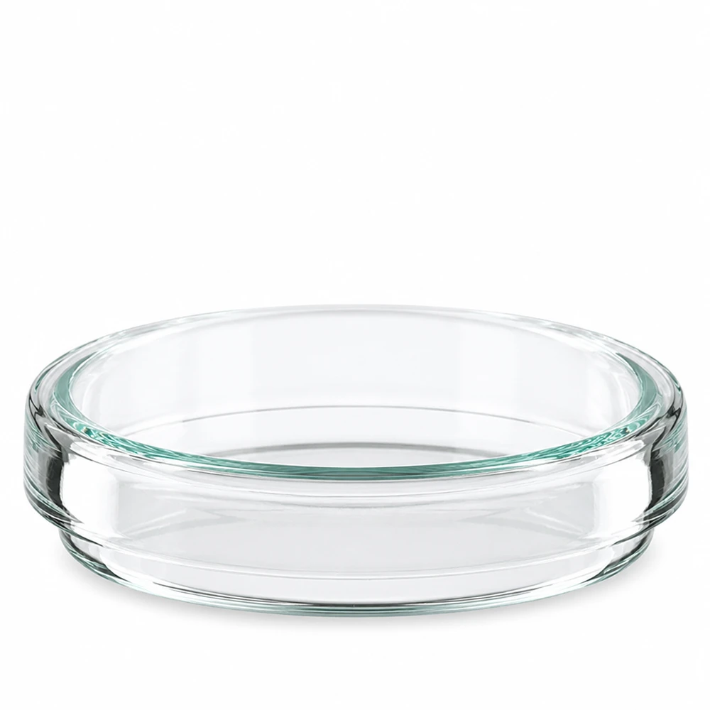Petrischale Glas 60mm mit grünlichem Glaston niedrige Bauform 15mm auf weißem Grund